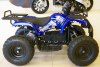 Квадроцикл MOTAX Mini Grizlik ATV X-16 1000W Big Wheel синий