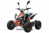 Квадроцикл MOTAX ATV T-Rex-7 125 сс