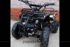 Квадроцикл MOTAX ATV Х-16 electro