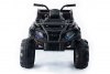 Квадроцикл Grizzly Next Black 4WD BDM0909