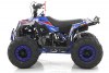 Квадроцикл MOTAX GRIZLIK A110 черно-синий