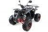 MOTAX ATV Grizlik-8 1+1 черно-красный