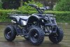 MOTAX ATV X-16 Mini Grizlik с м/с черный