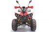 Квадроцикл GreenCamel Atakama T500 60V 1500W красный паук