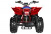 Квадроцикл MOTAX E-PENTORA 1500W красный