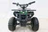 Квадроцикл GRIZLIK X16 NEW E1000 BW черно-зеленый