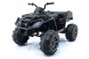 Квадроцикл Grizzly Next Black 4WD BDM0909