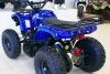 Квадроцикл MOTAX Mini Grizlik ATV X-16 1000W Big Wheel синий