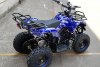 Квадроцикл GreenCamel Gobi K31 36V 800W синий паук