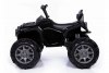 Grizzly ATV Black BDM0906