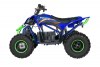 Квадроцикл MOTAX E-PENTORA 1500W синий