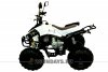 Квадроцикл ArmadA ATV 110D