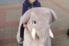 Зоомобиль Слон с монетоприемником