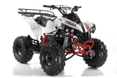 MOTAX ATV Raptor LUX 125 cc бело-красный