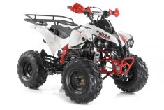 MOTAX ATV Raptor Super LUX 125 cc бело-красный