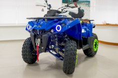 Квадроцикл MOTAX Grizlik 200 New синий